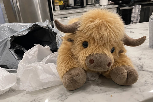 Peluche Vache Highland Anti-Stress – Compagnon Apaisant pour le Sommeil — photo d'un client 8